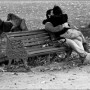 Love_Is_In_The_Air